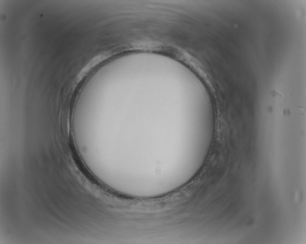 X0000081290011200701251704