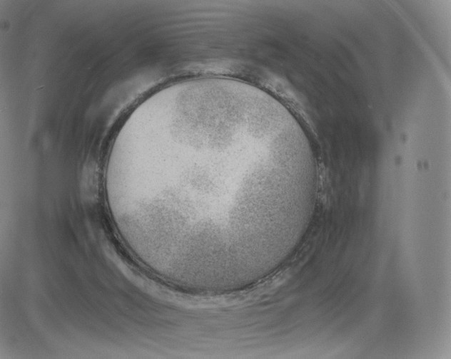 X0000081290012200701251704