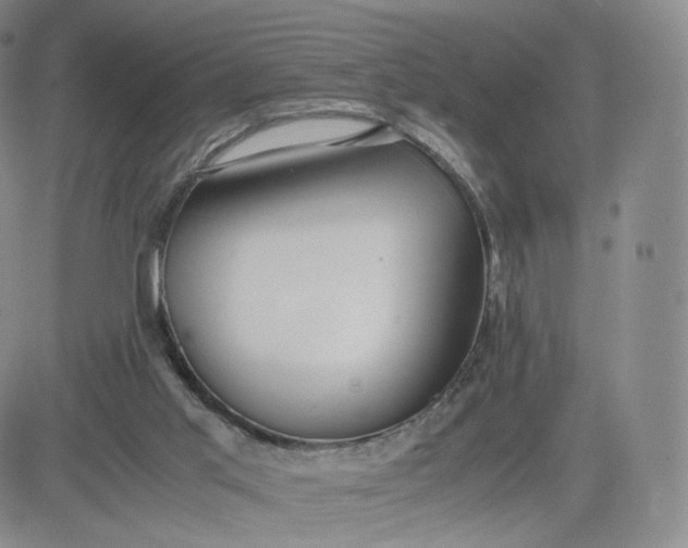 X0000081290013200701251704