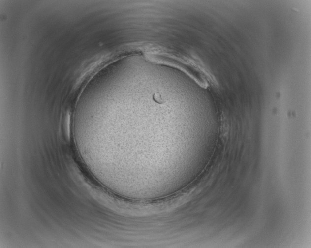 X0000081290014200701251704