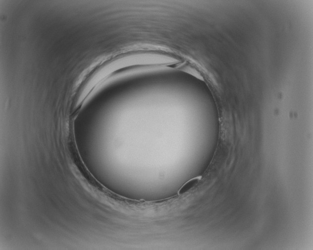 X0000081290015200701251704