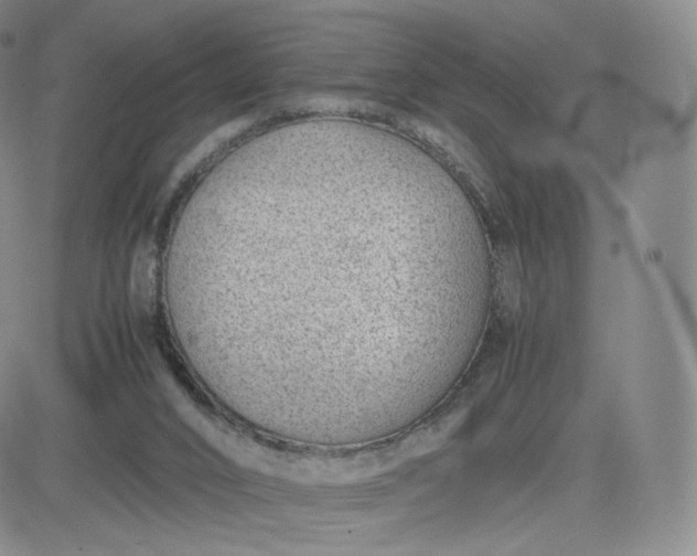 X0000081290016200701251704