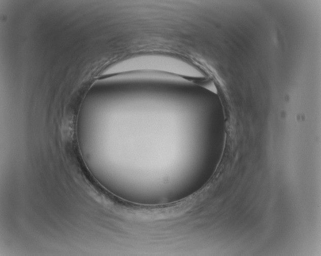 X0000081290017200701251704