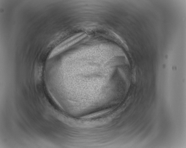 X0000081290018200701251704