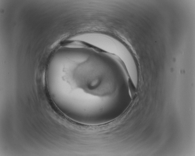 X0000081290019200701251704