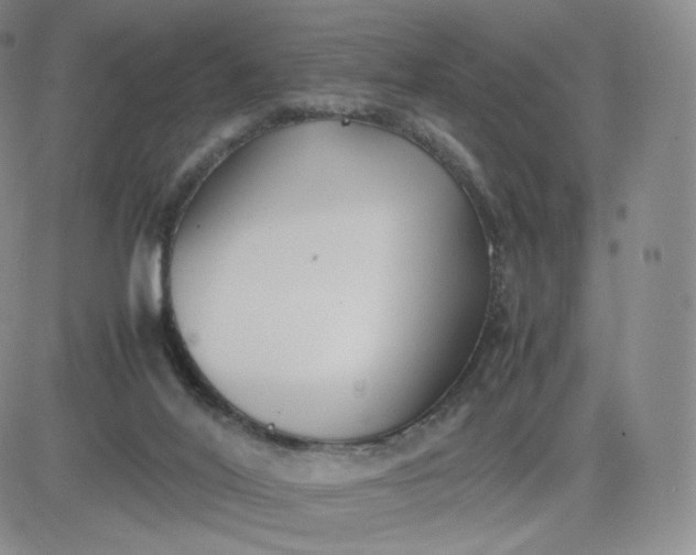 X0000081290020200701251704