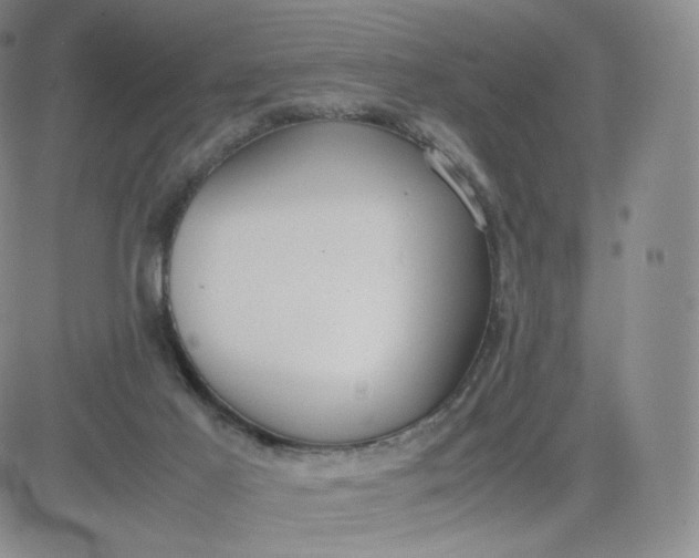 X0000081290021200701251704