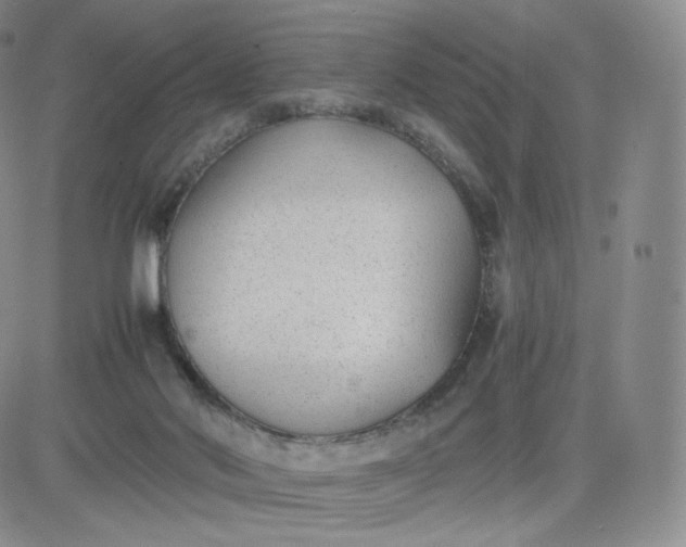 X0000081290022200701251704