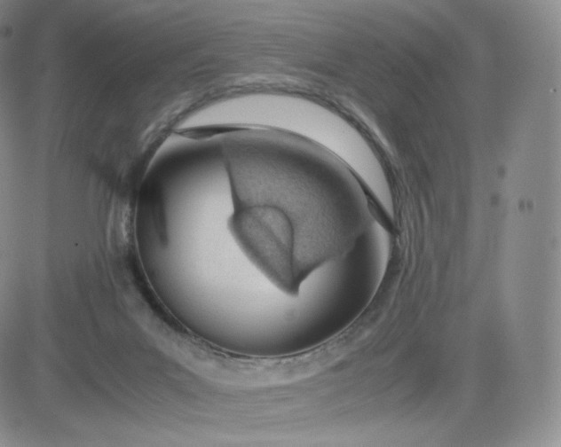 X0000081290023200701251704