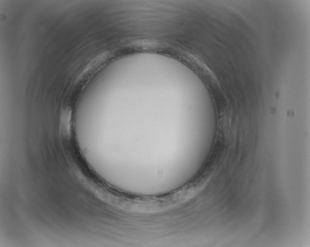 X0000081290024200701251704