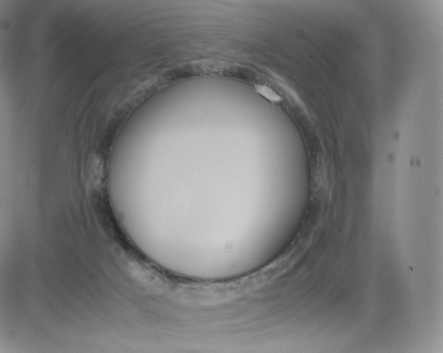 X0000081290025200701251704