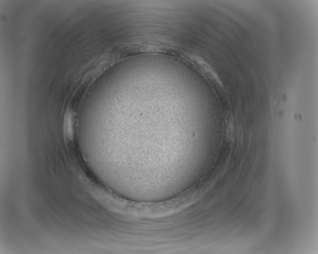 X0000081290026200701251704