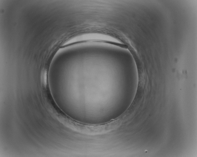 X0000081290027200701251704