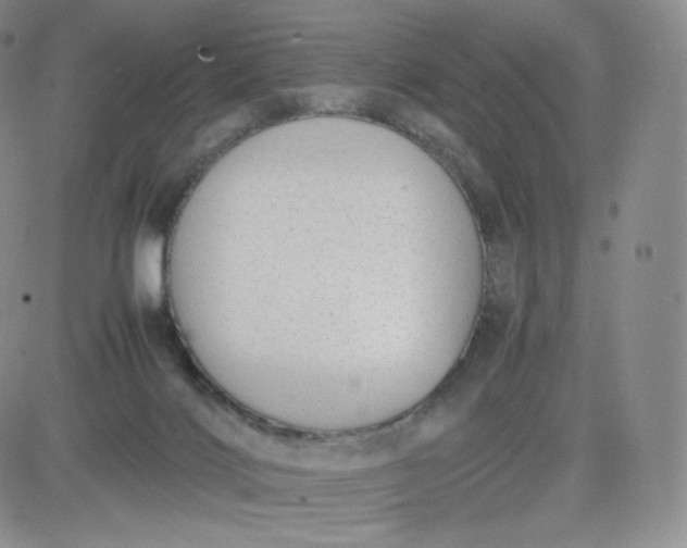 X0000081290028200701251704