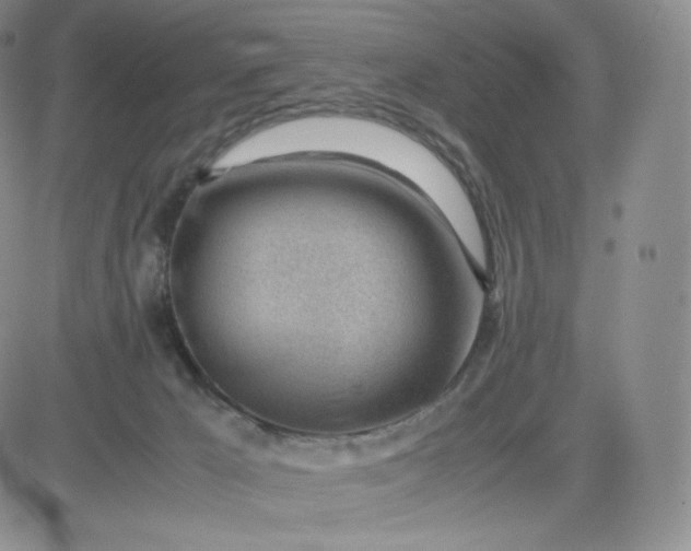 X0000081290029200701251704