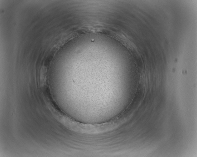 X0000081290030200701251704