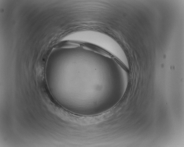 X0000081290031200701251704