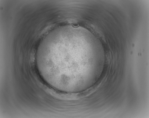 X0000081290032200701251704