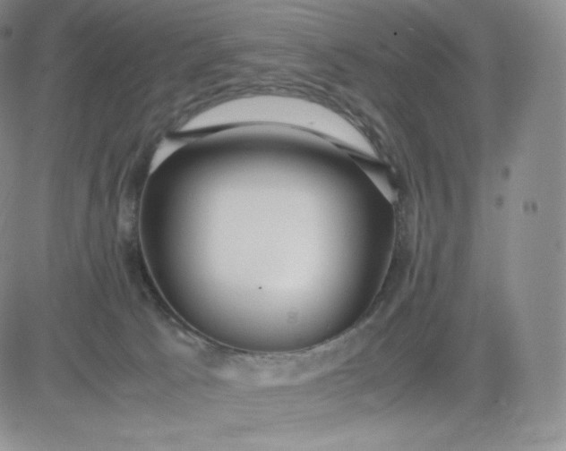 X0000081290033200701251704