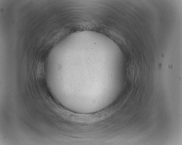 X0000081290034200701251704