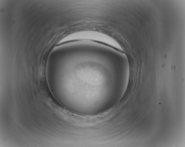 X0000081290035200701251704