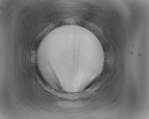 X0000081290036200701251704