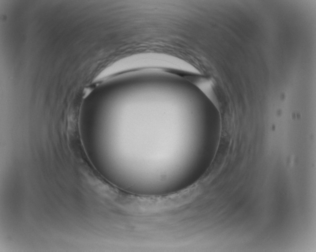 X0000081290037200701251704