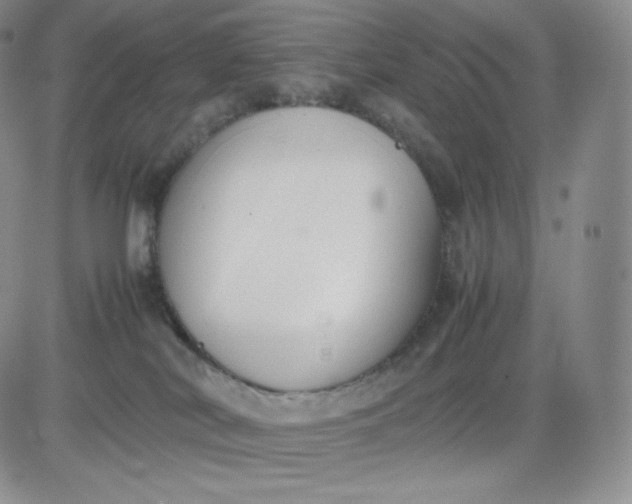 X0000081290038200701251704