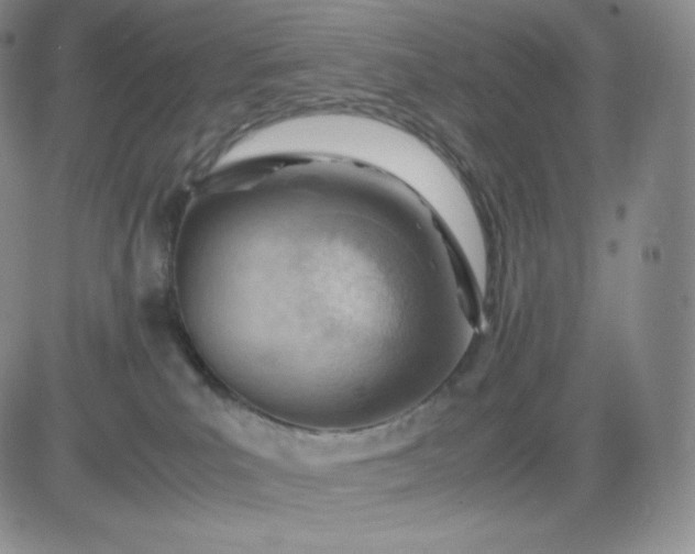 X0000081290039200701251704