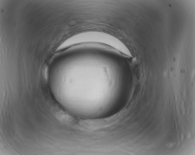 X0000081290041200701251704