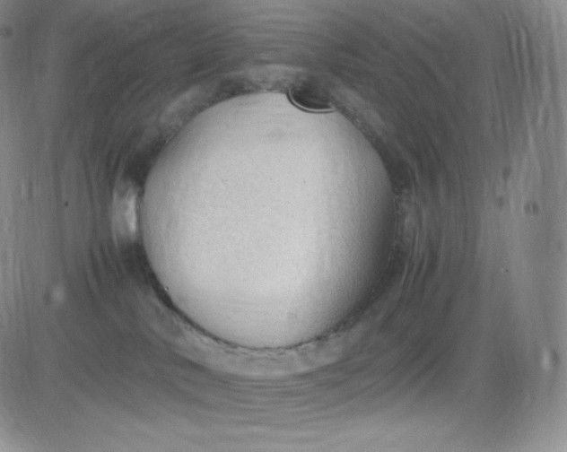 X0000081290042200701251704