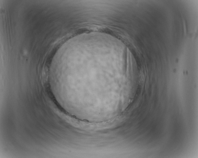 X0000081290043200701251704