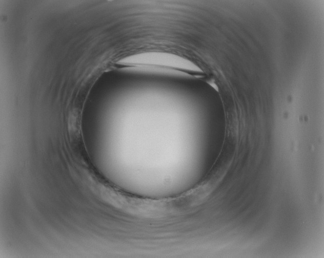 X0000081290044200701251704