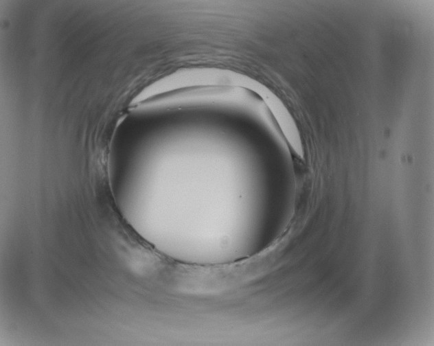 X0000081290045200701251704