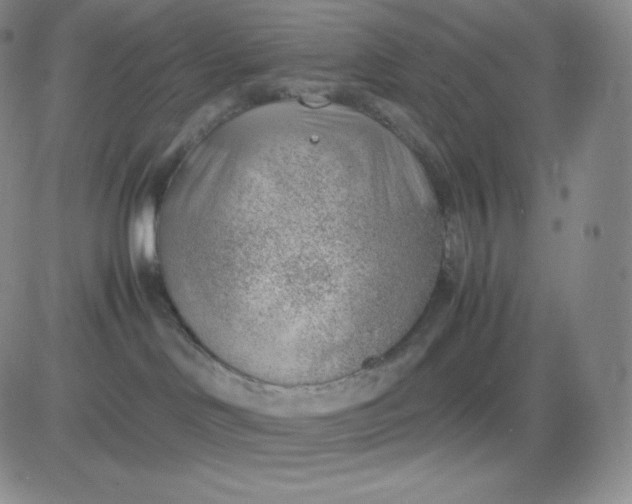 X0000081290046200701251704