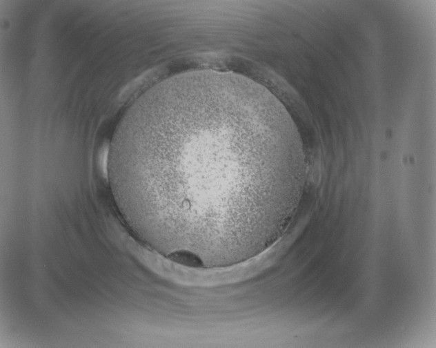 X0000081290047200701251704