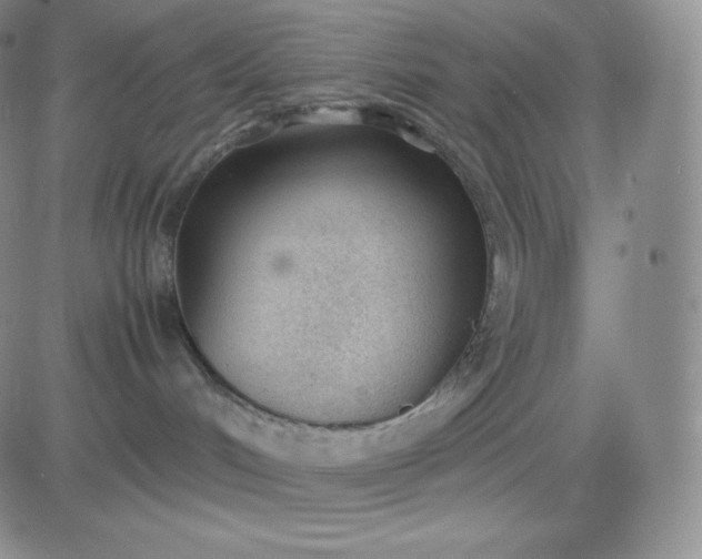 X0000081290048200701251704