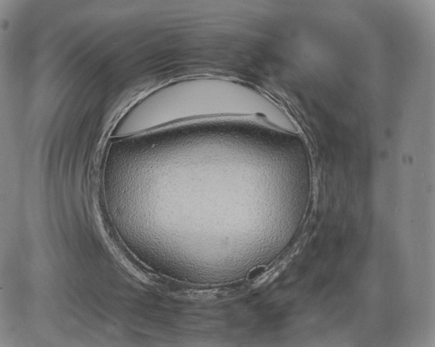 X0000081290049200701251703