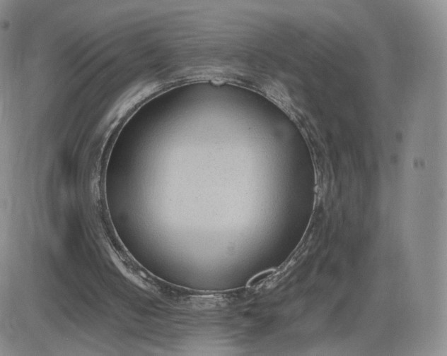 X0000081290050200701251703