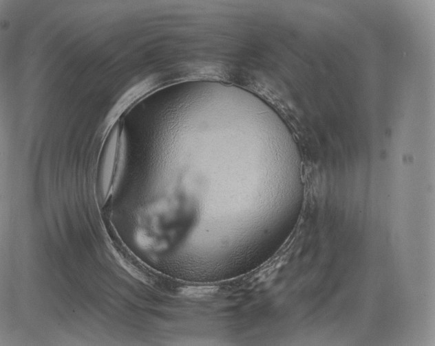 X0000081290051200701251703