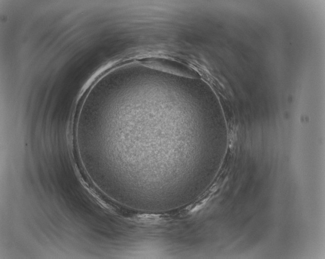 X0000081290052200701251703