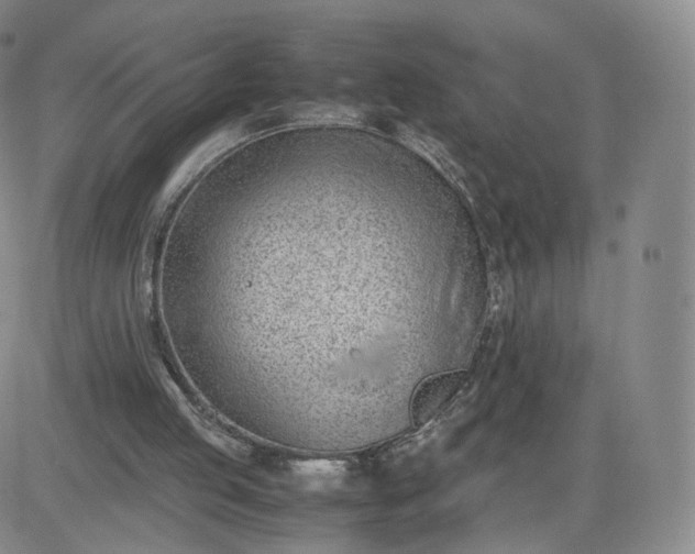 X0000081290053200701251703