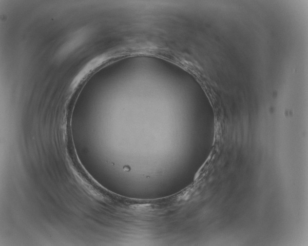 X0000081290054200701251703