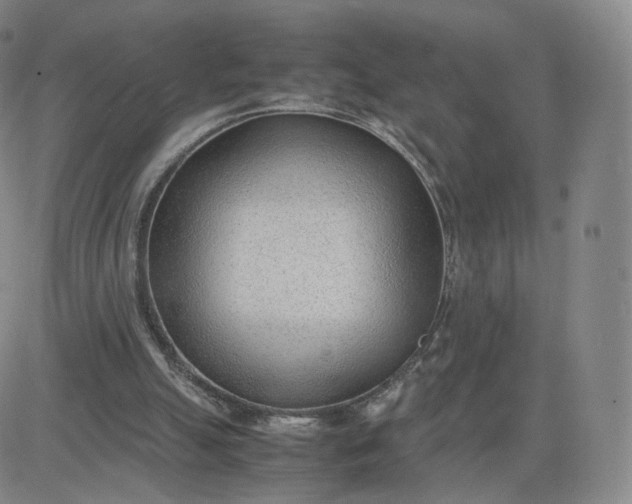 X0000081290055200701251703