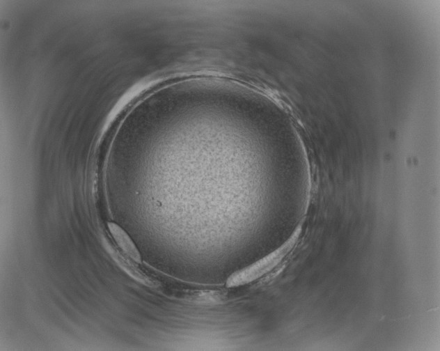 X0000081290056200701251703