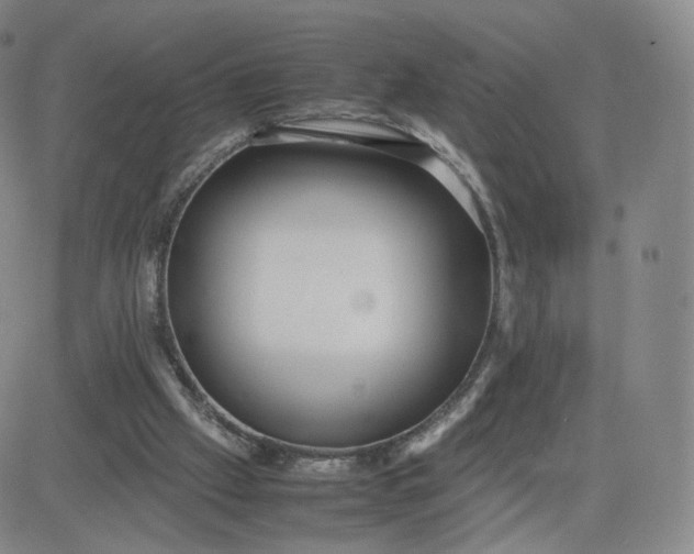 X0000081290057200701251703