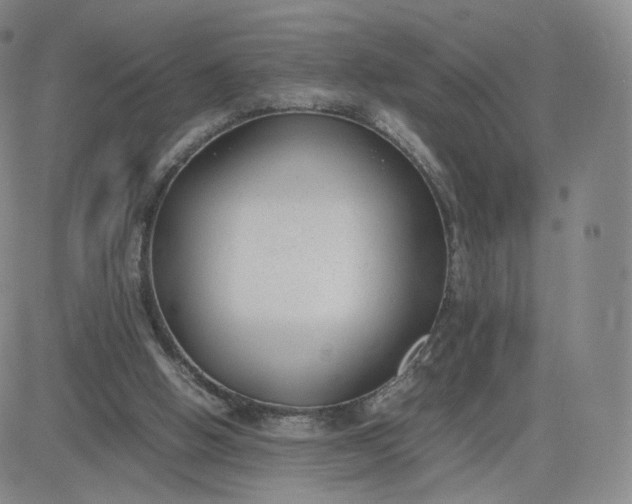 X0000081290058200701251703