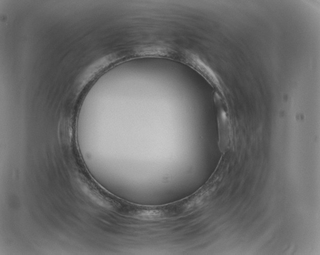 X0000081290059200701251703