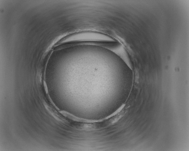 X0000081290060200701251703