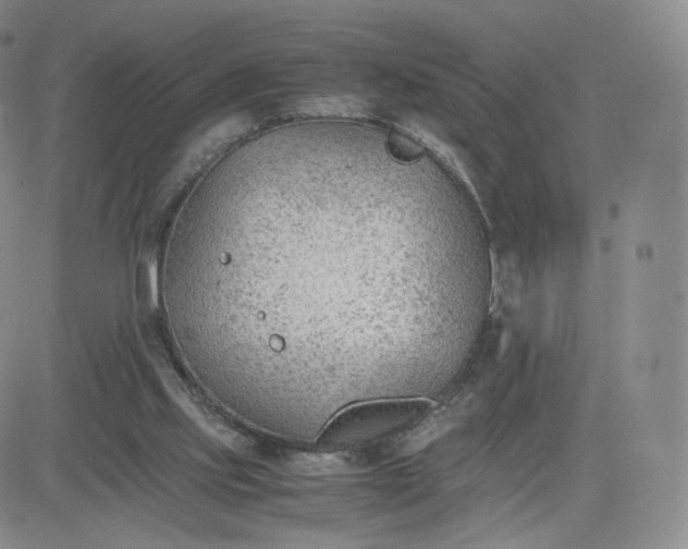 X0000081290061200701251703